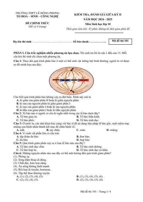 Đề thi Giữa kì 2 Sinh học 10 năm 2024-2025 trường THPT Lê Hồng Phong (Đắk Lắk)